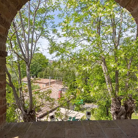 La Loggetta Dei Poderi - 5' Dalle Terme Di Saturnia Apartmán Montemerano